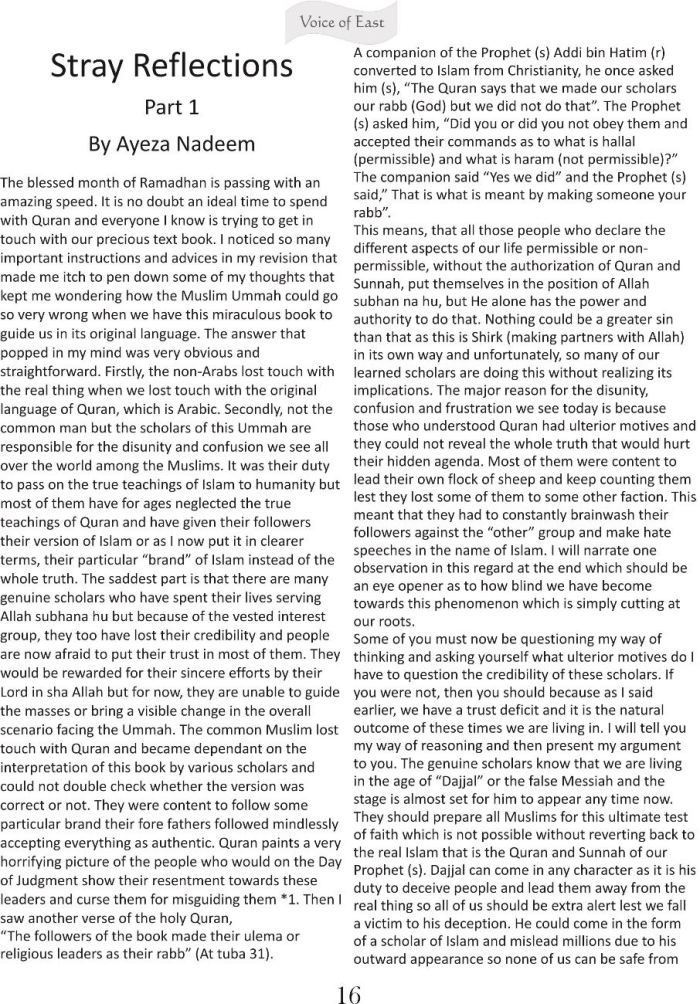 Stray Reflections 1 a