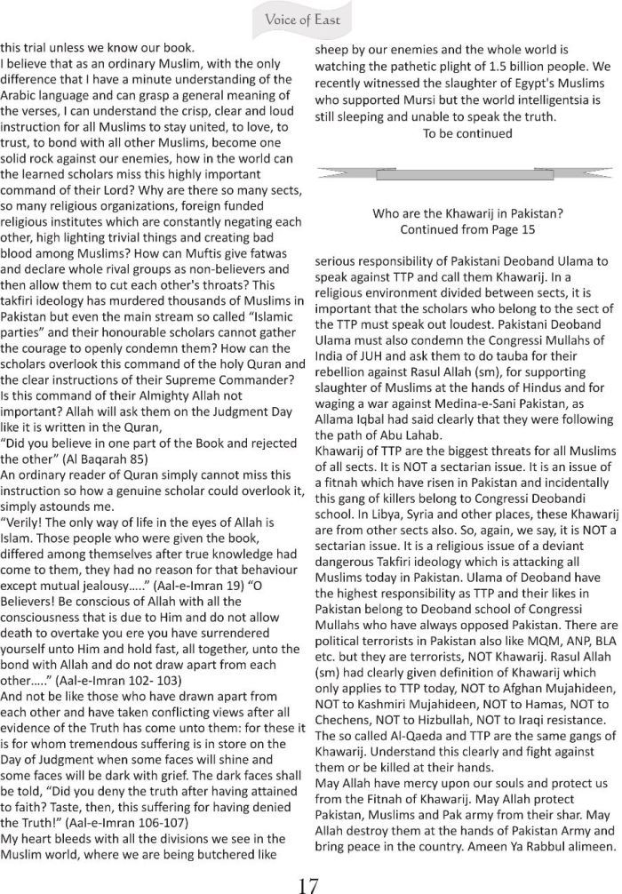 Stray Reflections 1 b