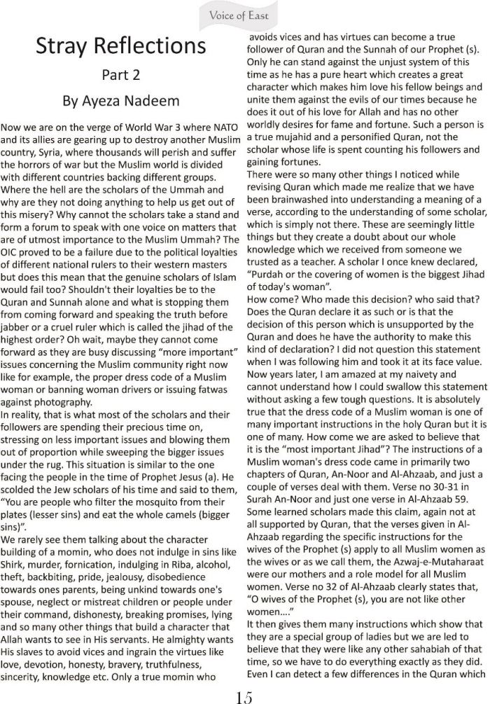 Stray Reflections 2 a