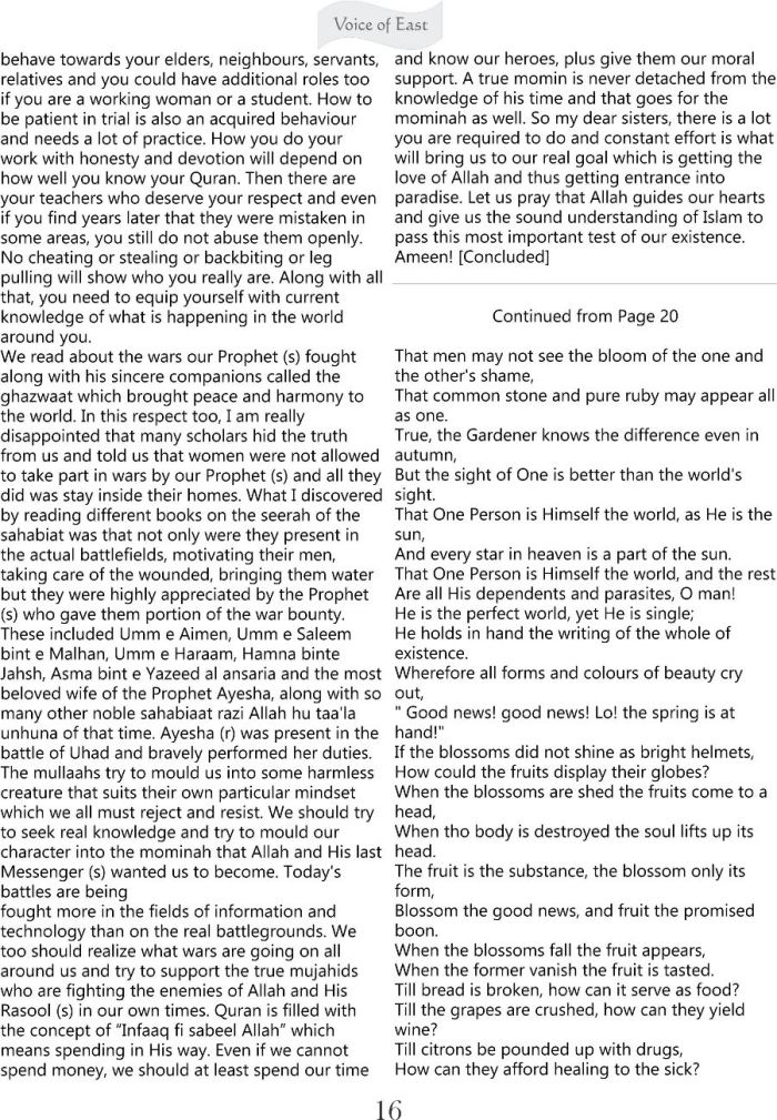 Stray Reflections 4 b