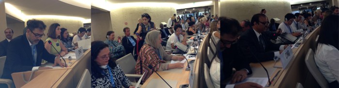 Altaf Hussain Wani, Shamim Shawl and Syed Faiz Naqshbandi are addressing UN