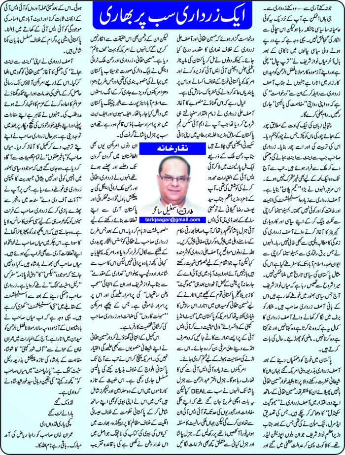 aik zardari sab per bhari