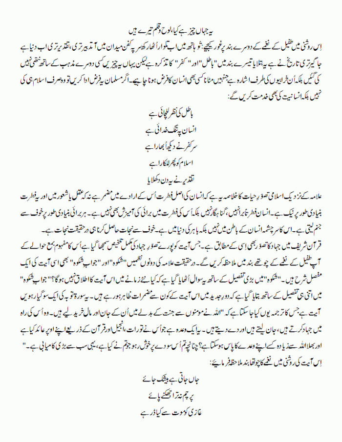 ae mard e mujahid jaag zara 3